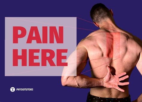 Shoulder Muscle Pain Exercises