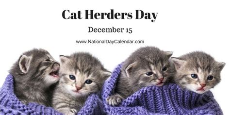 CAT HERDERS DAY - December 15 - National Day Calendar | Cats, Kittens, Homeless pets