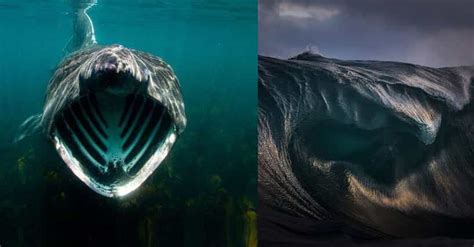 Thalassophobia | Fear of Deep Water Photos