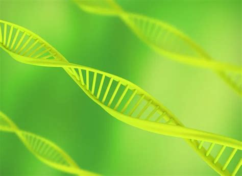 Dna green Stock Photos, Royalty Free Dna green Images | Depositphotos®