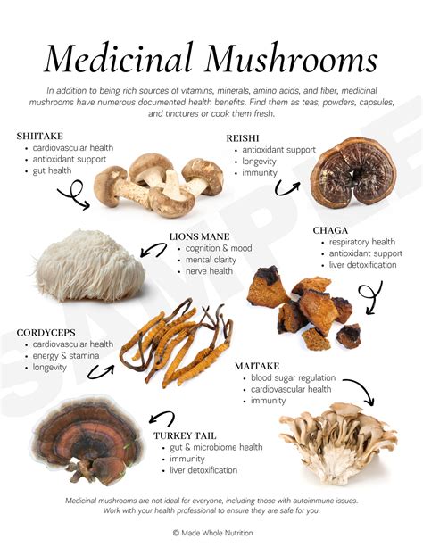 Medicinal Mushrooms Handout — Functional Health Research + Resources — Made Whole Nutrition