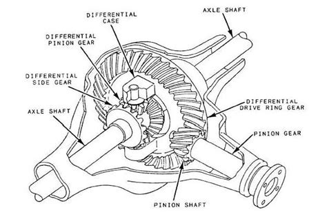 Differential Gear Diagram