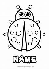 Coloring Page No1669  Animal Ladybug Easy coloring Pages sketch template