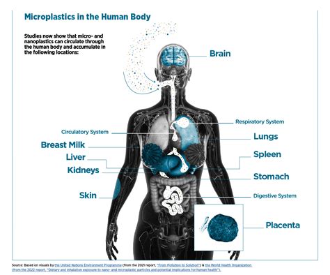 Breathing Plastic: The Health Impacts of Invisible Plastics in the Air ...