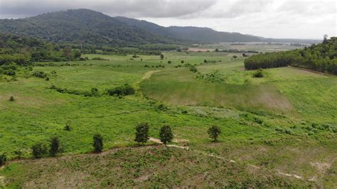 Drone shot aerial view scenic landscape of agriculture farm at ...