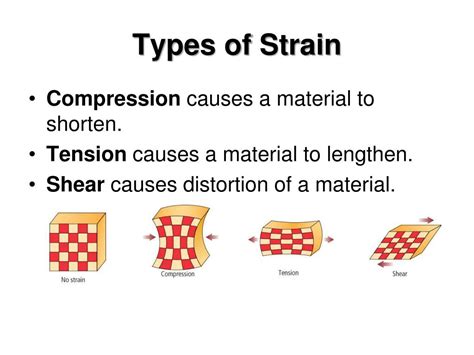 PPT - Section 19.1 Forces Within Earth PowerPoint Presentation, free ...