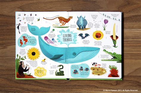 General Knowledge - Childrens Book on Behance