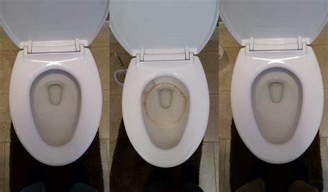 Toto vs American Standard Toilets - Product Comparison