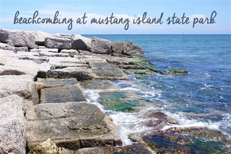 Beachcombing Bingo at Mustang Island State Park - Corpus Christi, Texas | Mustang island, State ...