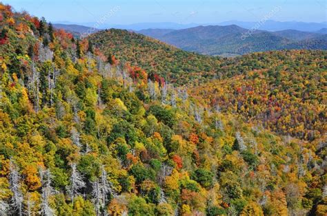 Fall colors in the Appalachian Mountains during autumn at the Blue Ridge Parkway East Fork ...