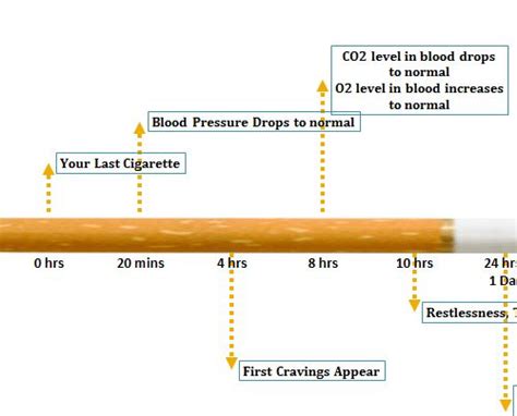 Nicotine Withdrawal TimeLine