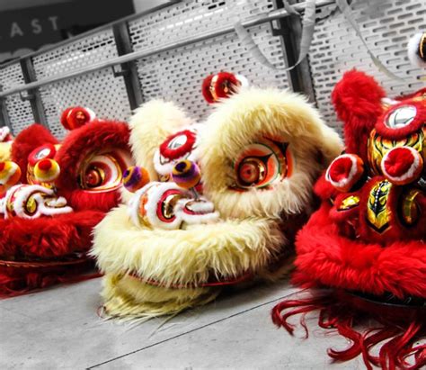 Anatomy of the lion dance costume - NOLISOLI