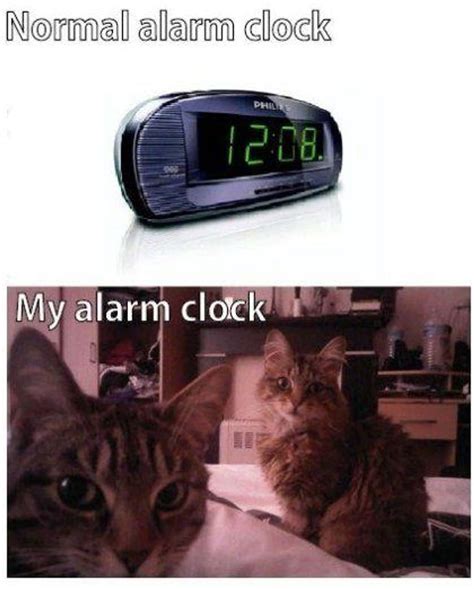 The Funniest Alarm Clock Memes