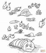 Very Hungry Caterpillar Coloring Pages  Coloring Home sketch template