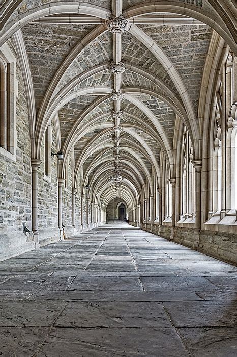 Princeton University Hallway II by Susan Candelario | Princeton university, Princeton, University