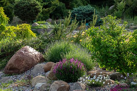 Alpine Gardens – Additional Photos|Iowa Arboretum & Gardens