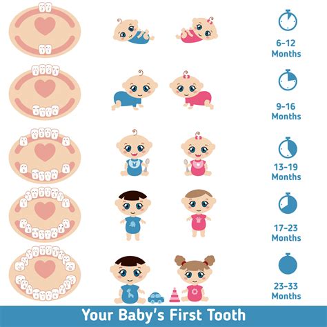 Baby Teething: Signs, Symptoms, Remedies, and FAQs - St. Johns Pediatric Dentistry