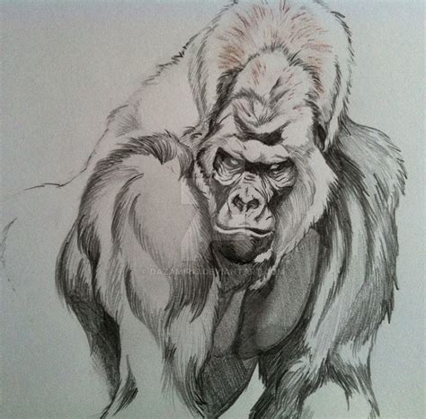 Pin on Animal coat of arms | Gorilla tattoo, Gorillas art, Silverback ...