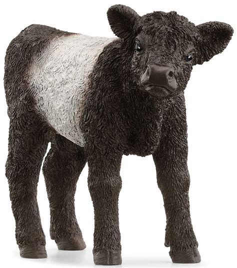 Galloway Calf (Schleich)