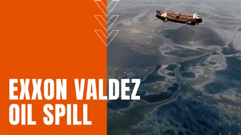 Exxon Valdez Oil Spill - Daily Dose Documentary