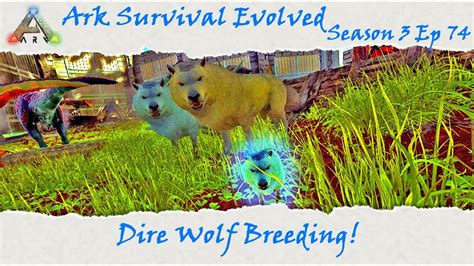 Ark Survival Evolved S3E74: Dire Wolf Taming, Breeding, and Imprinting ...