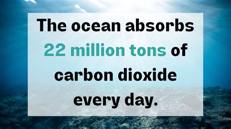 Facts about Ocean Acidification - Ocean Acidification