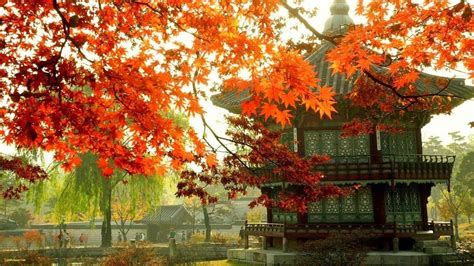 Ancient Korean Wallpapers - Top Free Ancient Korean Backgrounds - WallpaperAccess