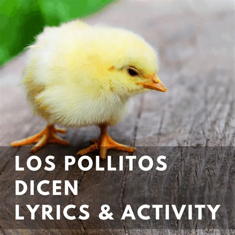 Los pollitos dicen pío, pío, pío Song Lyrics and Puppets