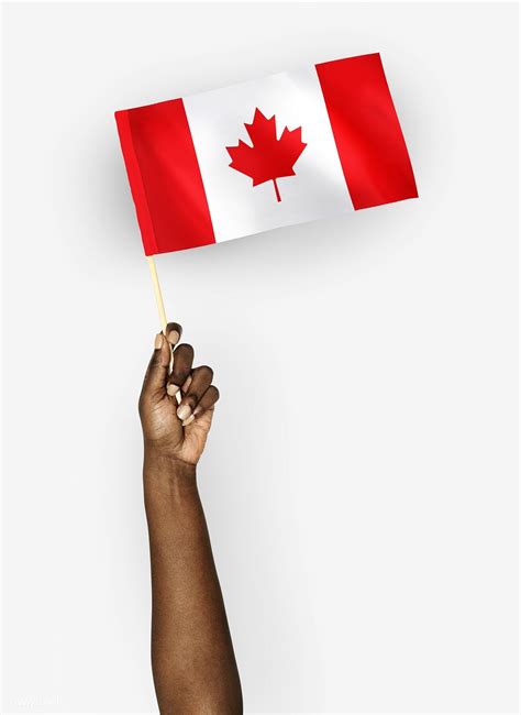 Person waving the flag of Canada | premium image by rawpixel.com ...