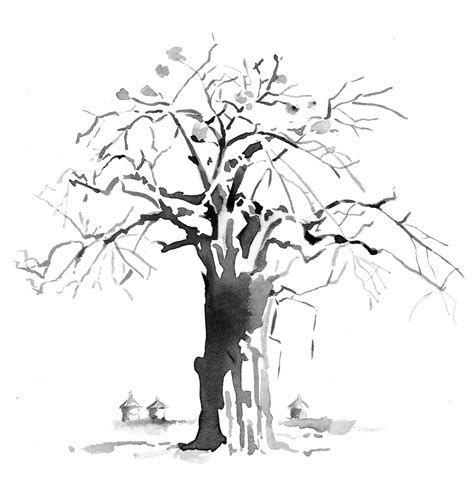 Baobab Tree Drawing at GetDrawings | Free download