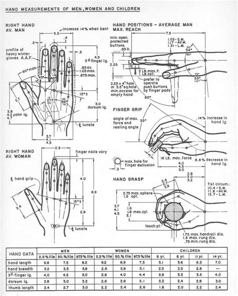 Ergonomics. | Concept diagram, Human dimension, Ergonomics design