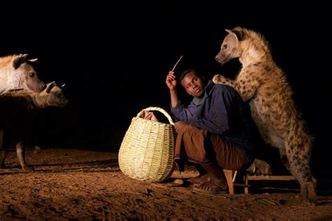 The hyena man of Harar - Africa Geographic