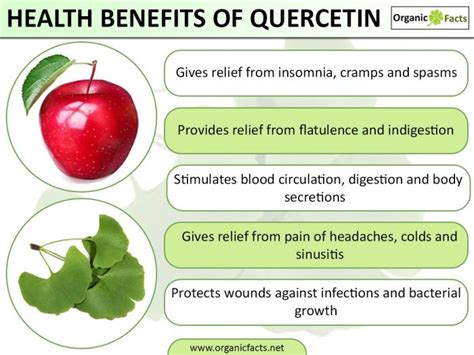 7 Surprising Benefits of Quercetin | Organic Facts