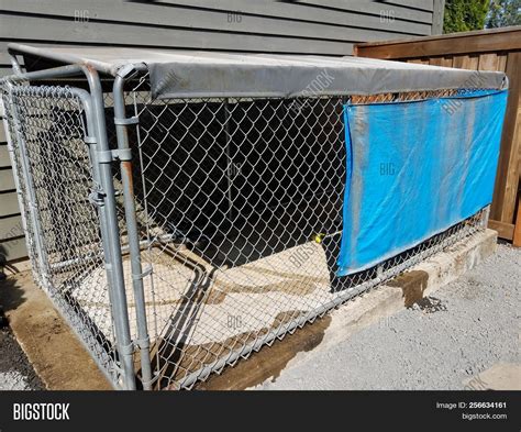 Metal Fence Dog Kennel Image & Photo (Free Trial) | Bigstock