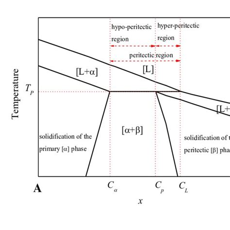 Detail of a peritectic phase diagram. At the peritectic temperature T p ...