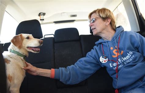 Volunteer Relocates to Kanab Utah | Best Friends Animal Society