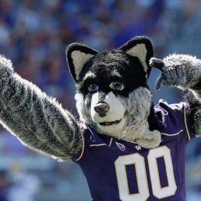 Harry the Husky | Mascot Hall of Fame