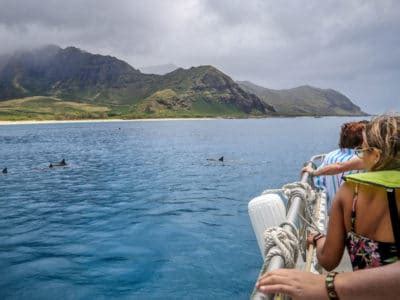 Dolphin Watching Tour on Oahu | Hawaii Dolphin Viewing