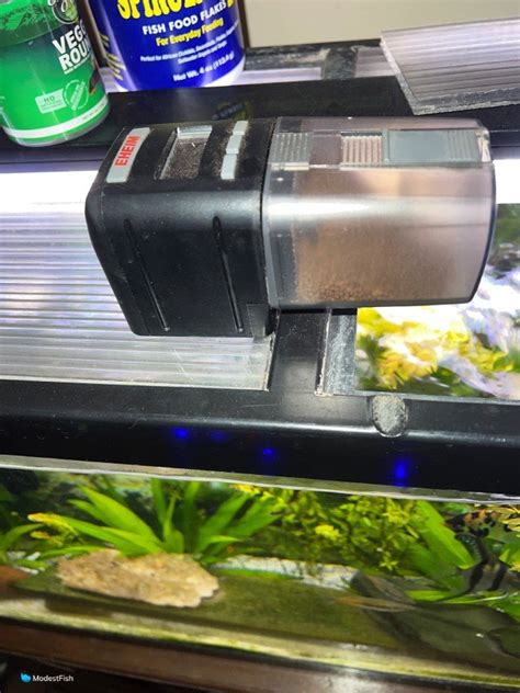 Mini Automatic Fish Feeder With Timer For Aquarium And Fish Tank ...