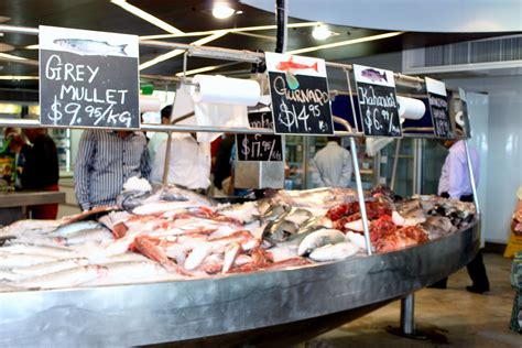 Fish market in Auckland | Auckland, Favorite places, Tours