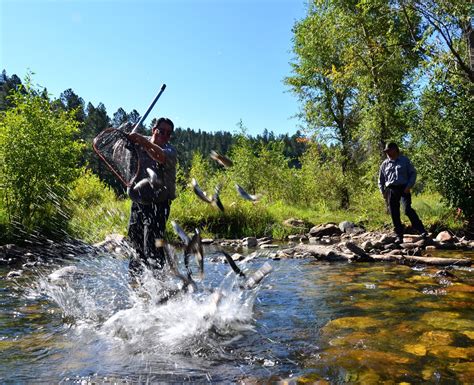 Pecos River Fly Fishing Upper Dalton Public Fishing Access