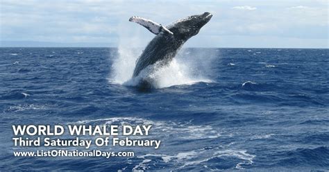 WORLD WHALE DAY - List Of National Days