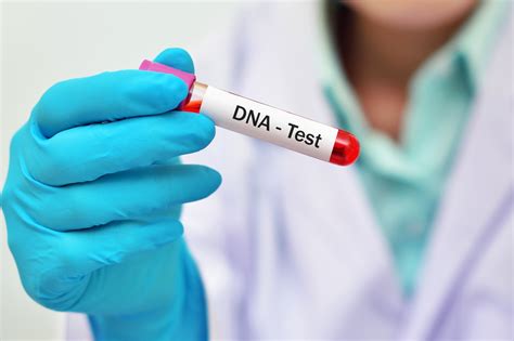 What Is a Mitochondrial DNA Test? - FreeSitesLike