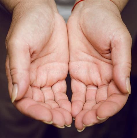 Cupped empty hands stock photo. Image of connection, fingers - 35896804