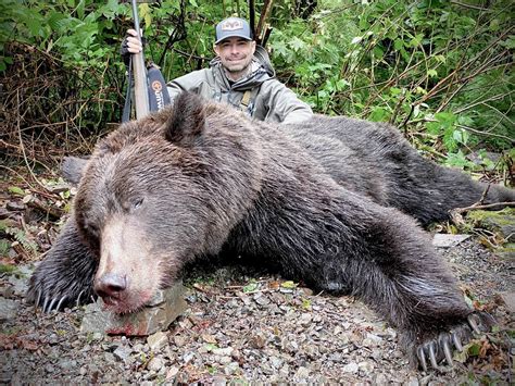 Alaska Coastline Brown Bear Hunting