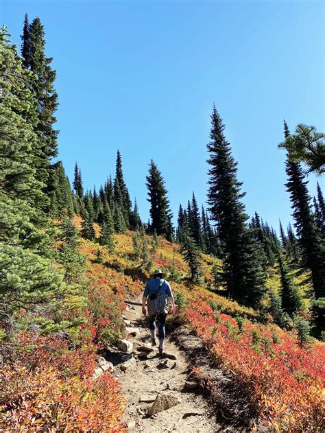 The Ultimate Mount Rainier Day Trip from Seattle (2024) - Emerald Palate