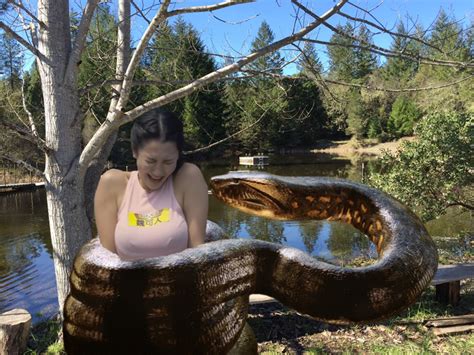 Anaconda attack at lake! by weirdsqueeze on DeviantArt