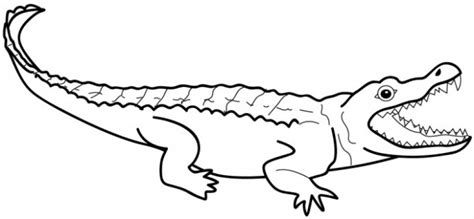 Get This Alligator Coloring Pages Free for Kids e9bnu