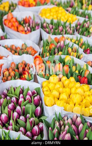 Bunches of colorful flowers, farmers market, Germany Stock Photo - Alamy