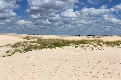 Live Life Be Happy: Monahans Sandhills State Park (Sand Dunes) Monahans ...